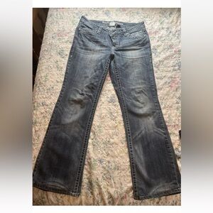 10p bling Harley Davidson jeans